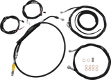 06620910_0.png