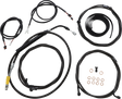 06620911_0.png