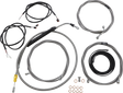 06620912_0.png