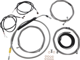 06620912_0.png