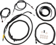 06620913_0.png