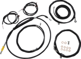06620916_0.png