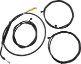 06620917_0.png