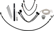06621077_0.png