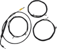 06621100_0.png