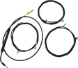 06621104_0.png