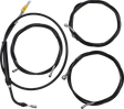 06621109_0.png