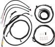 06621113_0.png
