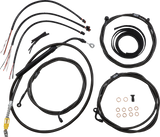 06621113_0.png