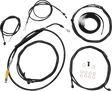 06621119_0.png