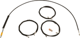 06621169_0.png
