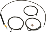 06621170_0.png