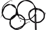 06621178_0.png