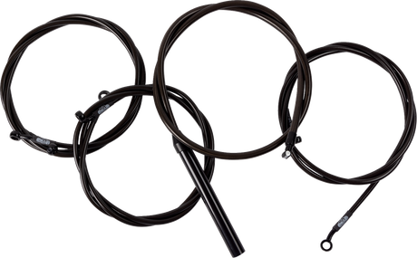06621179_0.png