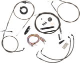 06621182_2.png