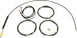 06621190_0.png