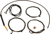 06621197_0.png