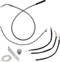 06621198_0.png