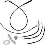 06621202_0.png