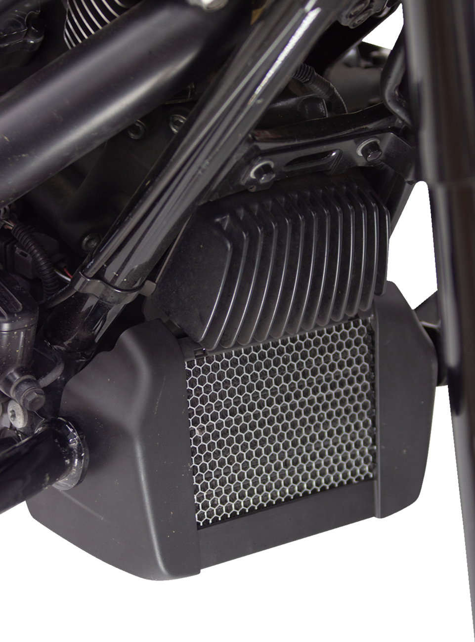07130256_1.png
