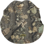 08212620_0.png
