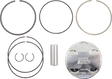 09106496_0.png
