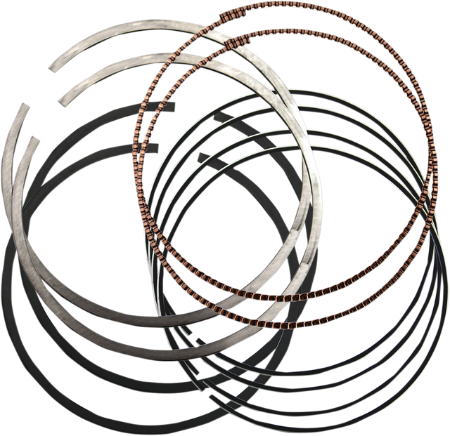 09120665_0.png