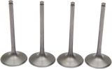 09262579_0.png