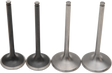 09262584_0.png