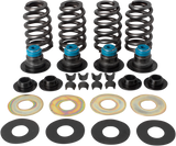 09262972_1.png