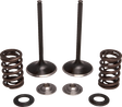 09263477_0.png