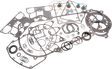 09341229_0.png