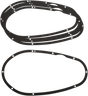 09344671_0.png