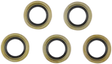 09350181_0.png