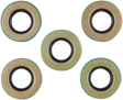 09350262_0.png