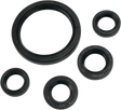 09350393_0.png
