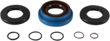 09351065_0.png