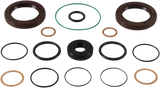 09351068_0.png