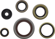 09351197_0.png