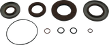 09351287_0.png