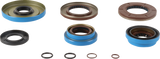 09351289_0.png