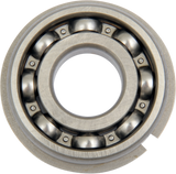 09500326_0.png