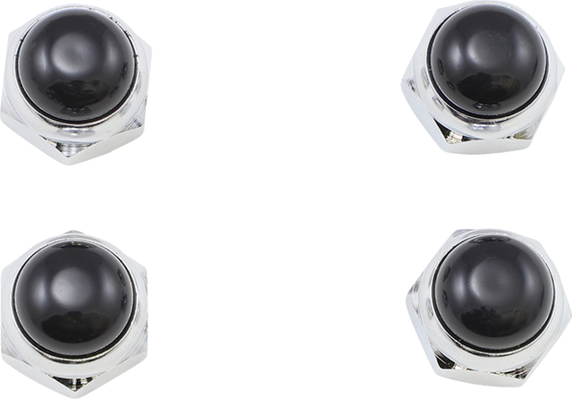 09500972_0.png