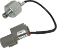 09500973_0.png