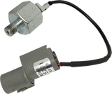 09500973_0.png