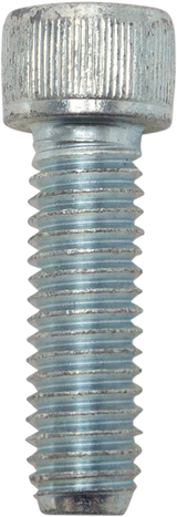 10031731_0.png