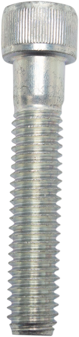10031733_0.png