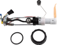 10090194_0.png