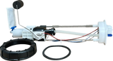 10090235_0.png