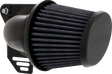 10102955_0.png